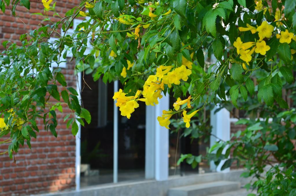 Vallee 69 Eco Villa-tissa,yala Lodge Tissamaharama