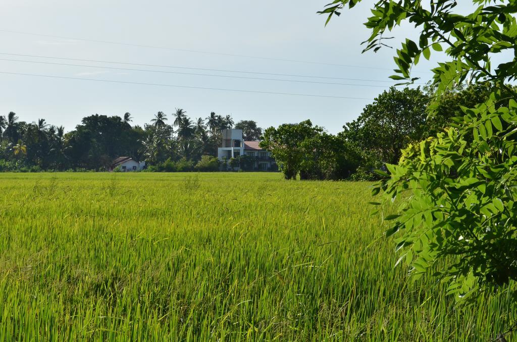 Vallee 69 Eco Villa-tissa,yala Lodge