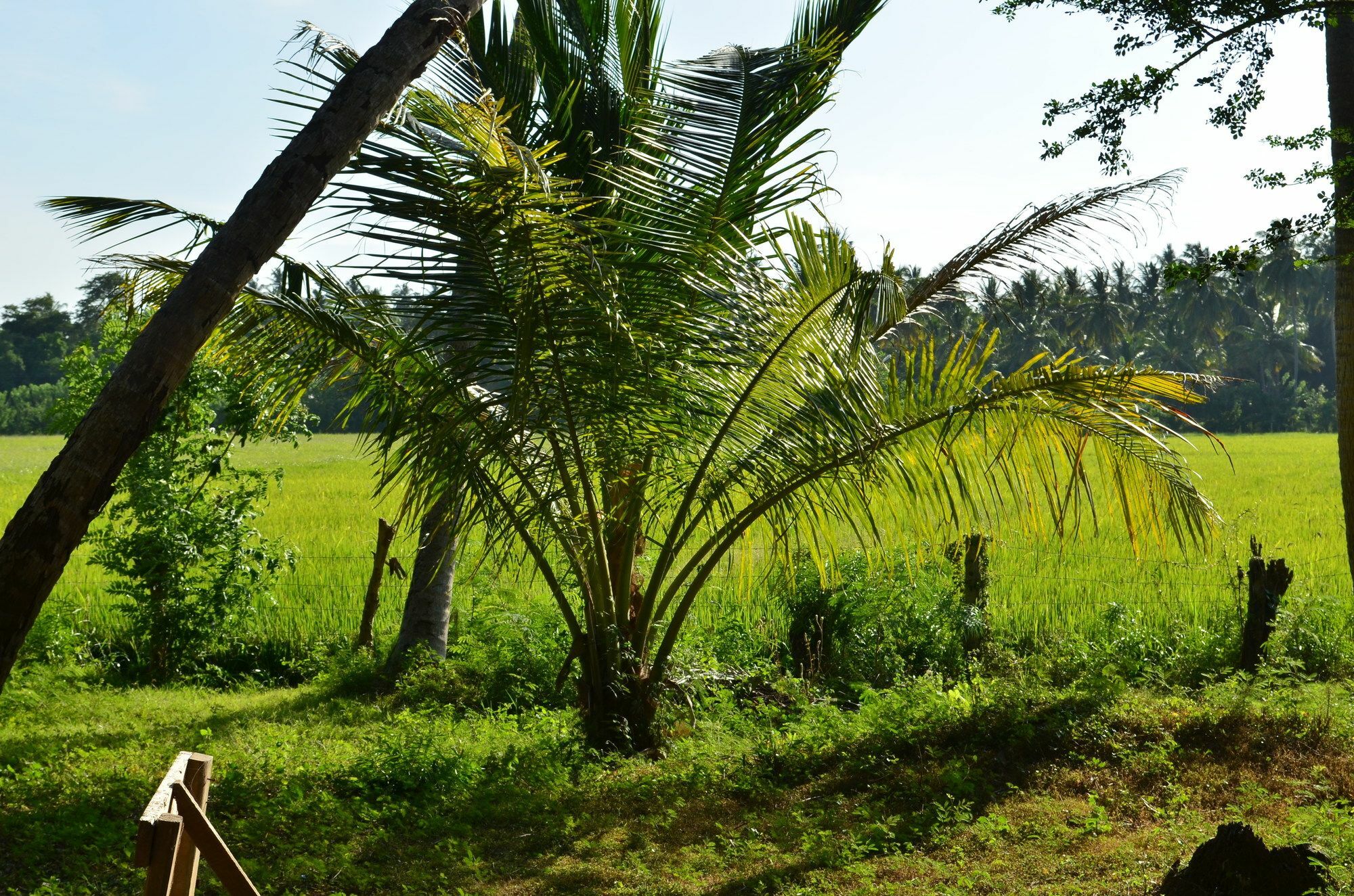 Vallee 69 Eco Villa-tissa,yala * Tissamaharama