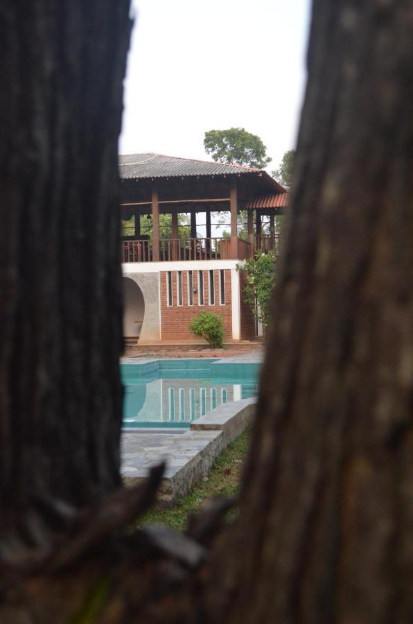 Lodge Vallee 69 Eco Villa-tissa,yala